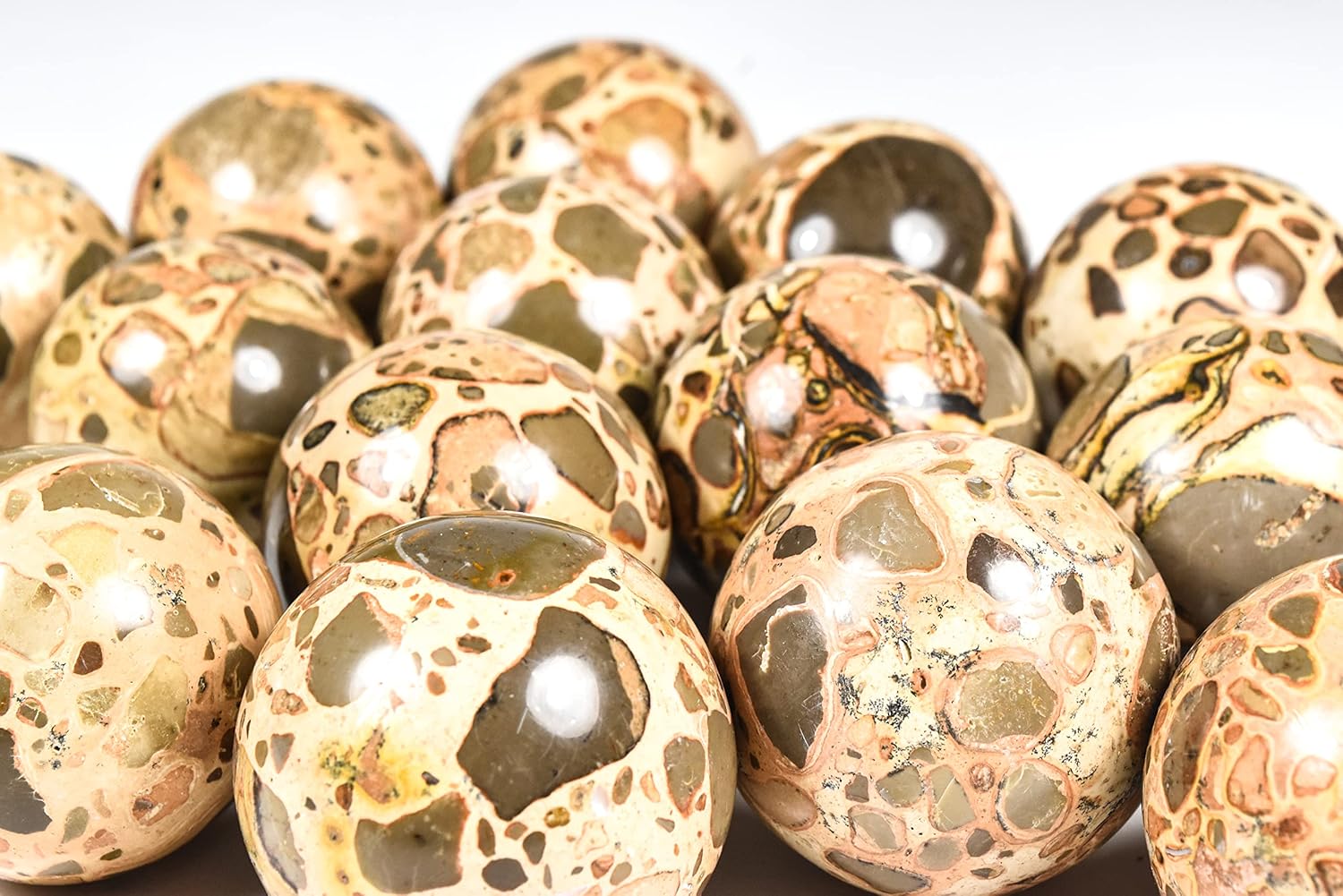 HQRP 47mm Leopardite Jasper Sphere with Stand