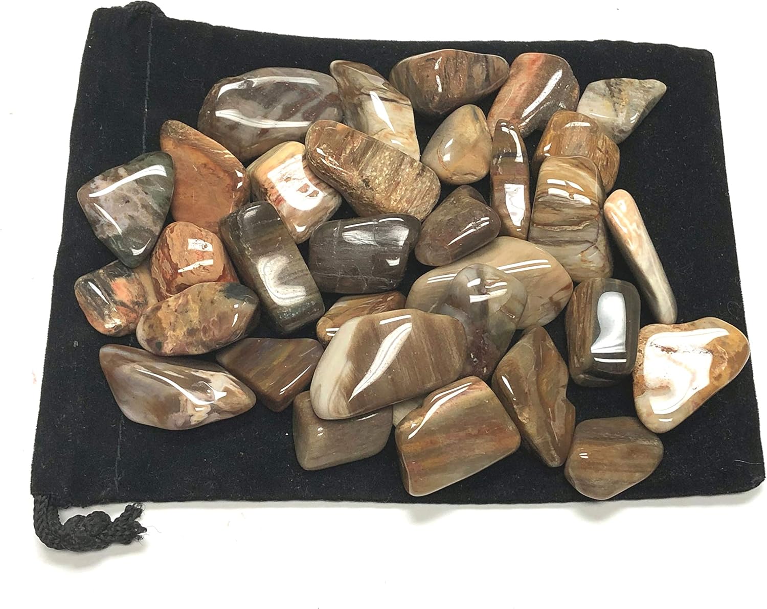 Zentron Crystal Collection Tumbled Petrified Wood Stones in Velvet Bag 1 Pound