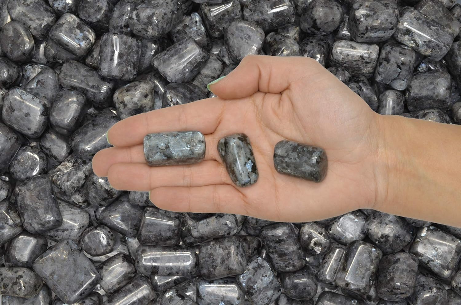 Fantasia Hand Polished Larvikite Stones 1 lb