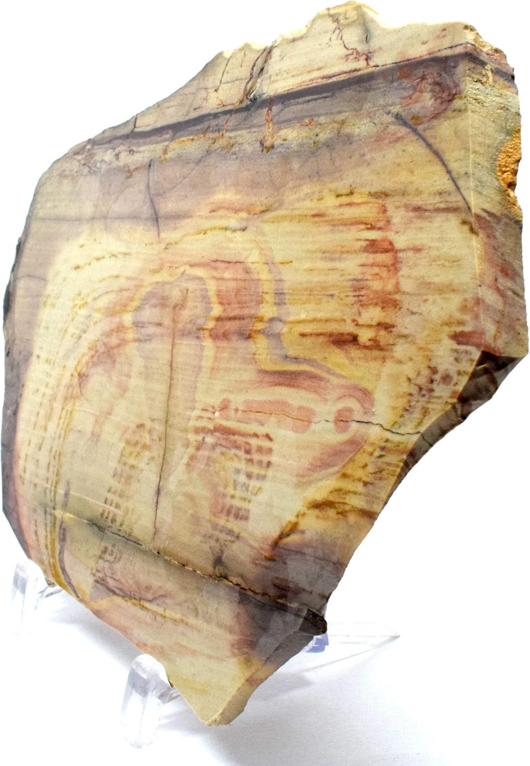 61 Polished Polychrome Royal Jasper Slab Decor