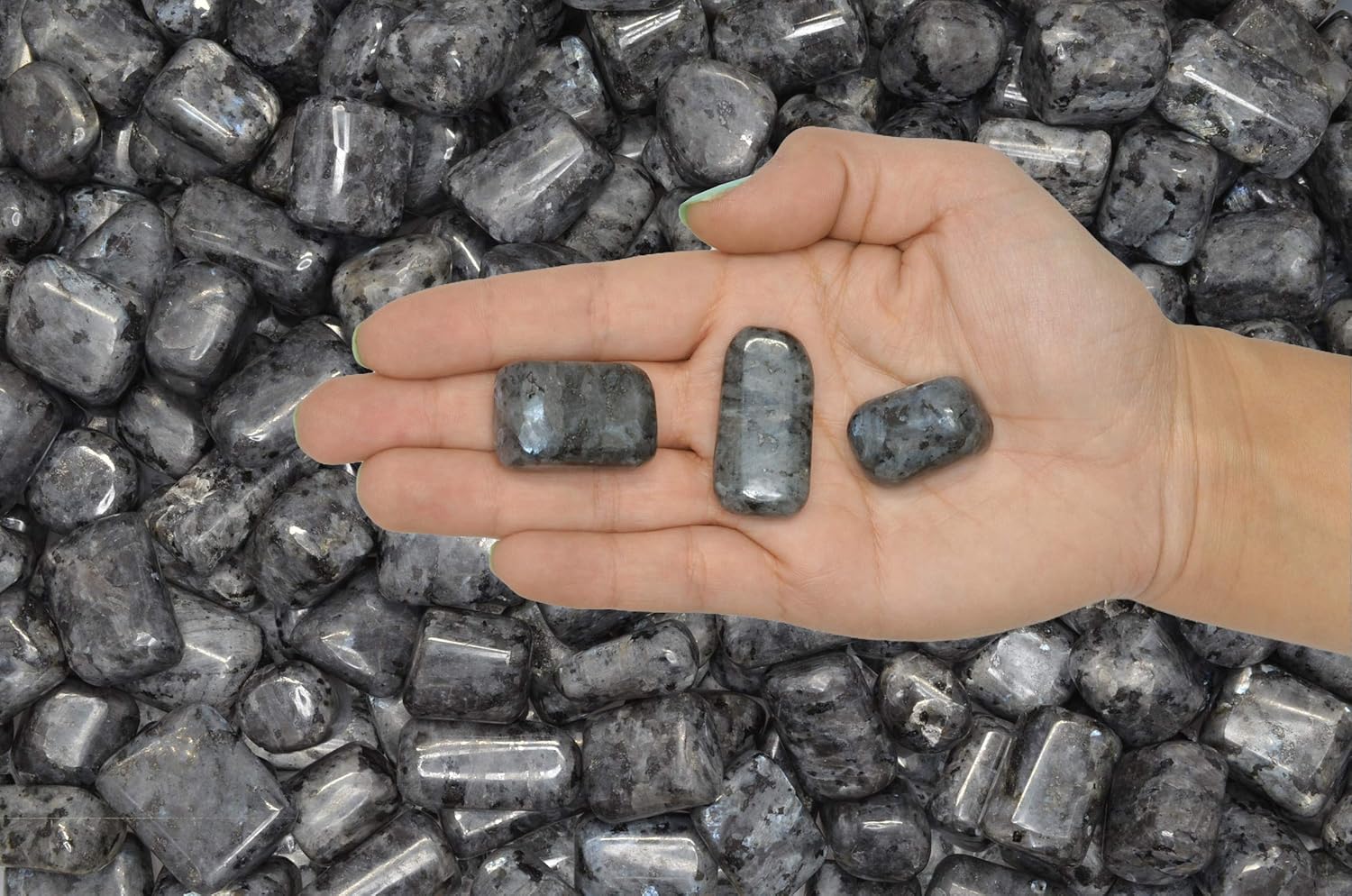 Fantasia Hand Polished Larvikite Stones 1 lb
