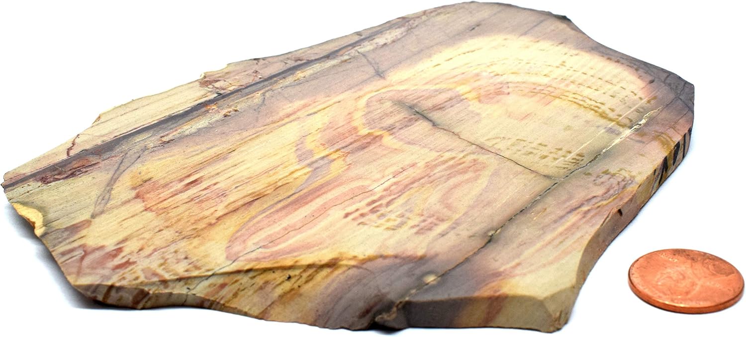 61 Polished Polychrome Royal Jasper Slab Decor