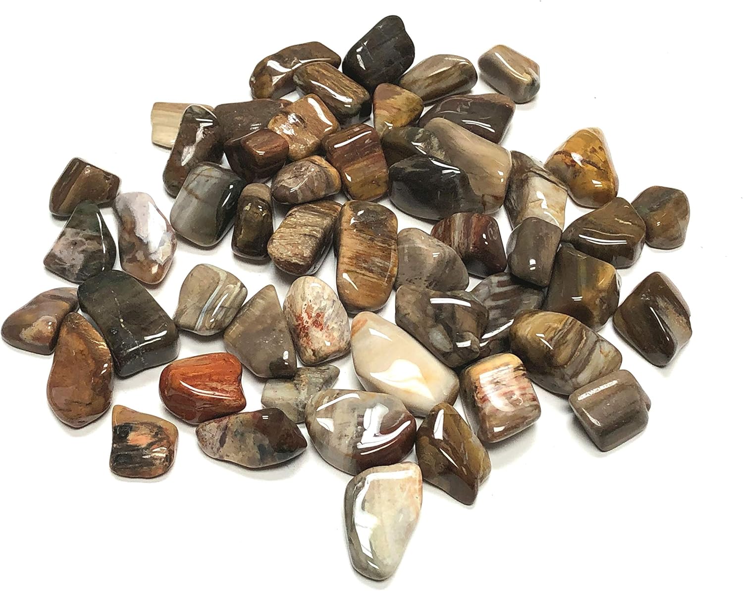 Zentron Crystal Collection Tumbled Petrified Wood Stones in Velvet Bag 1 Pound