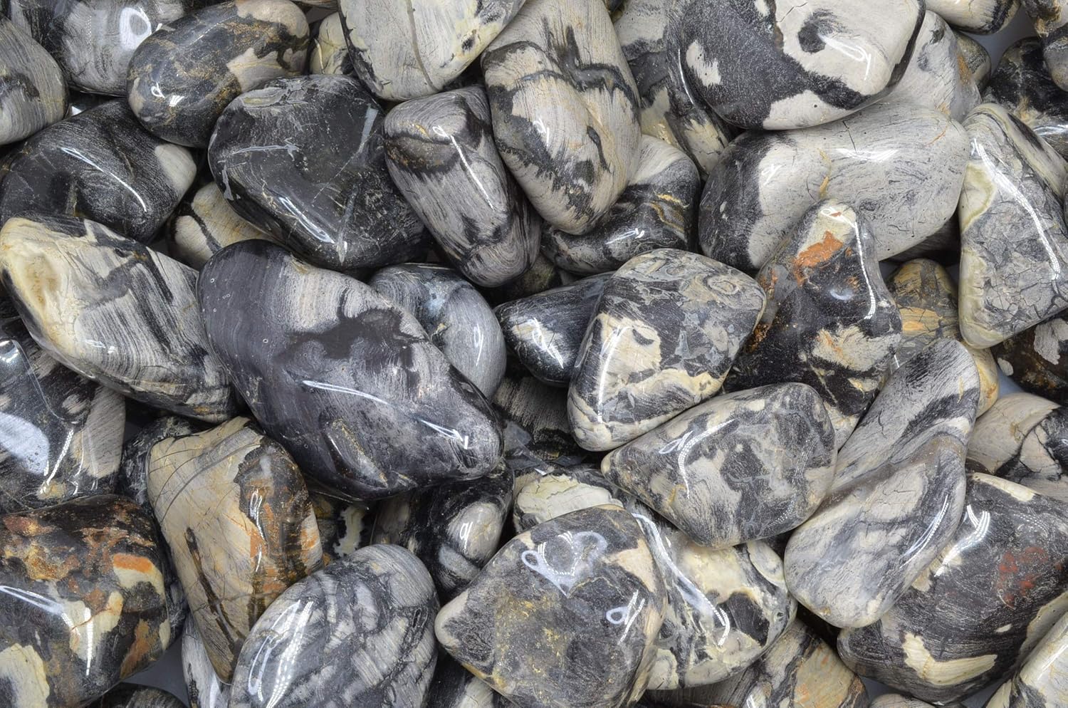 Fantasia Silver Leaf Jasper Stones - 5 lbs Tumbled Stones from Africa