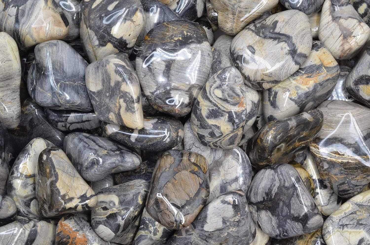 Fantasia Silver Leaf Jasper Stones - 5 lbs Tumbled Stones from Africa