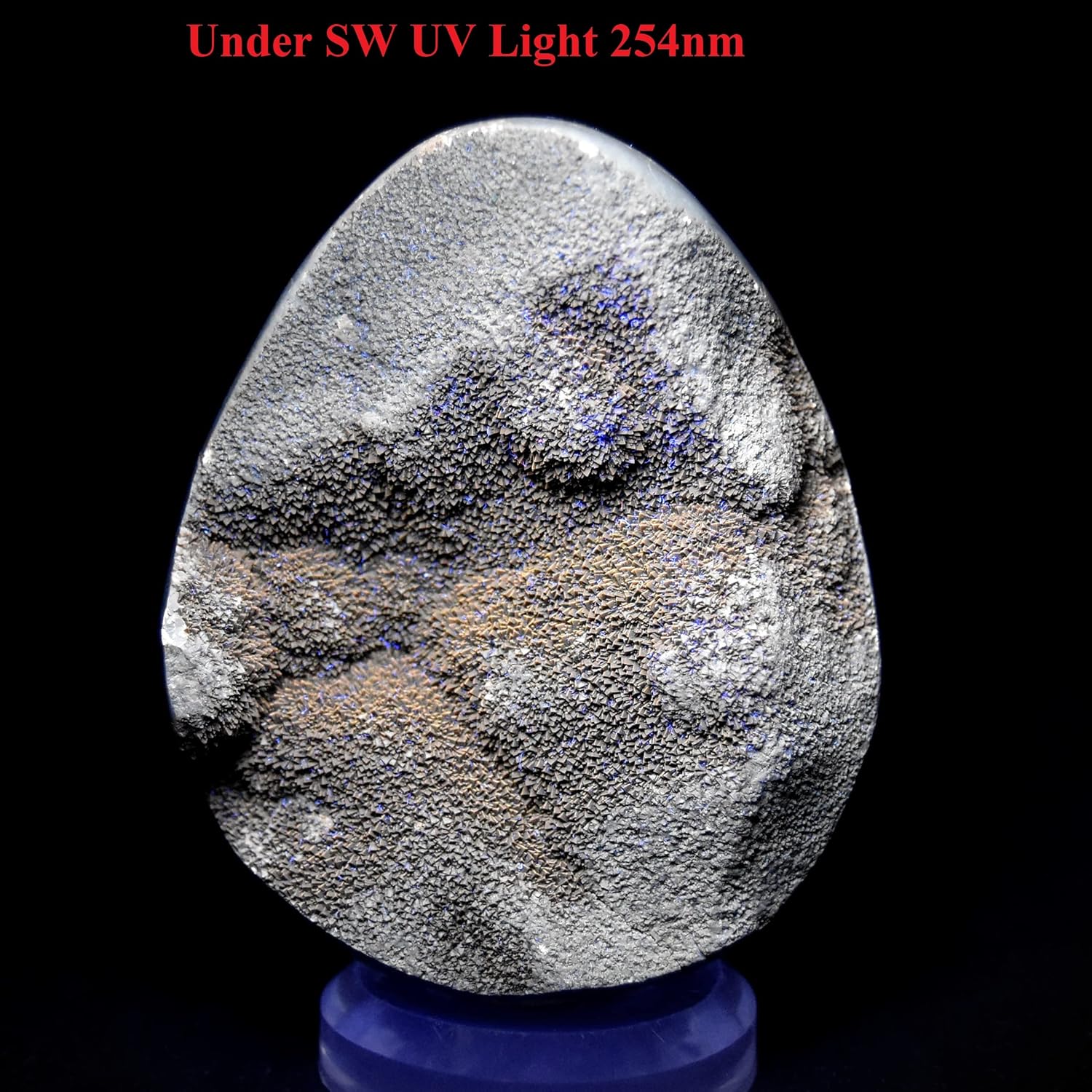 96mm Septarian Dragon Stone Egg with Stand