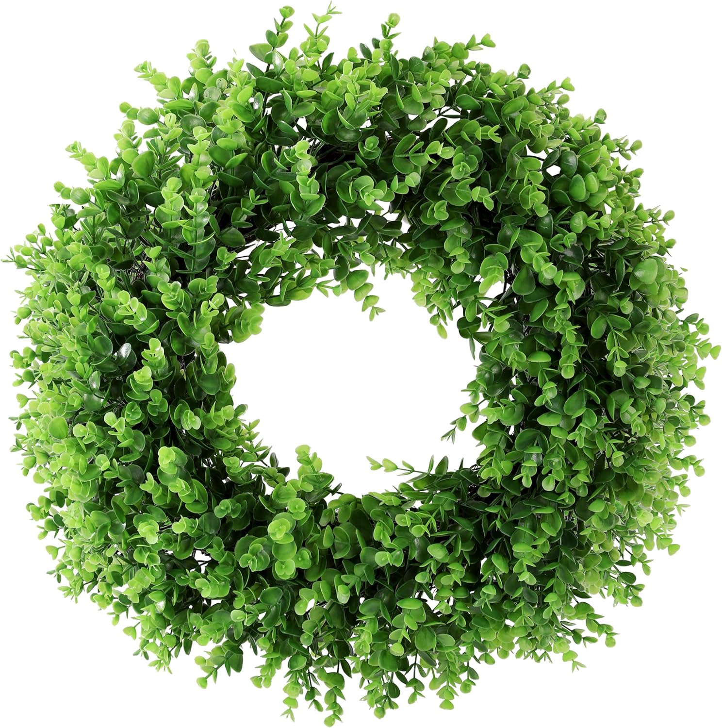 Preserved Boxwood Wreath Artificial 20 Inch