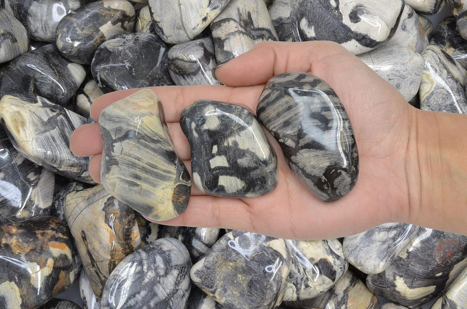 Fantasia Silver Leaf Jasper Stones - 5 lbs Tumbled Stones from Africa